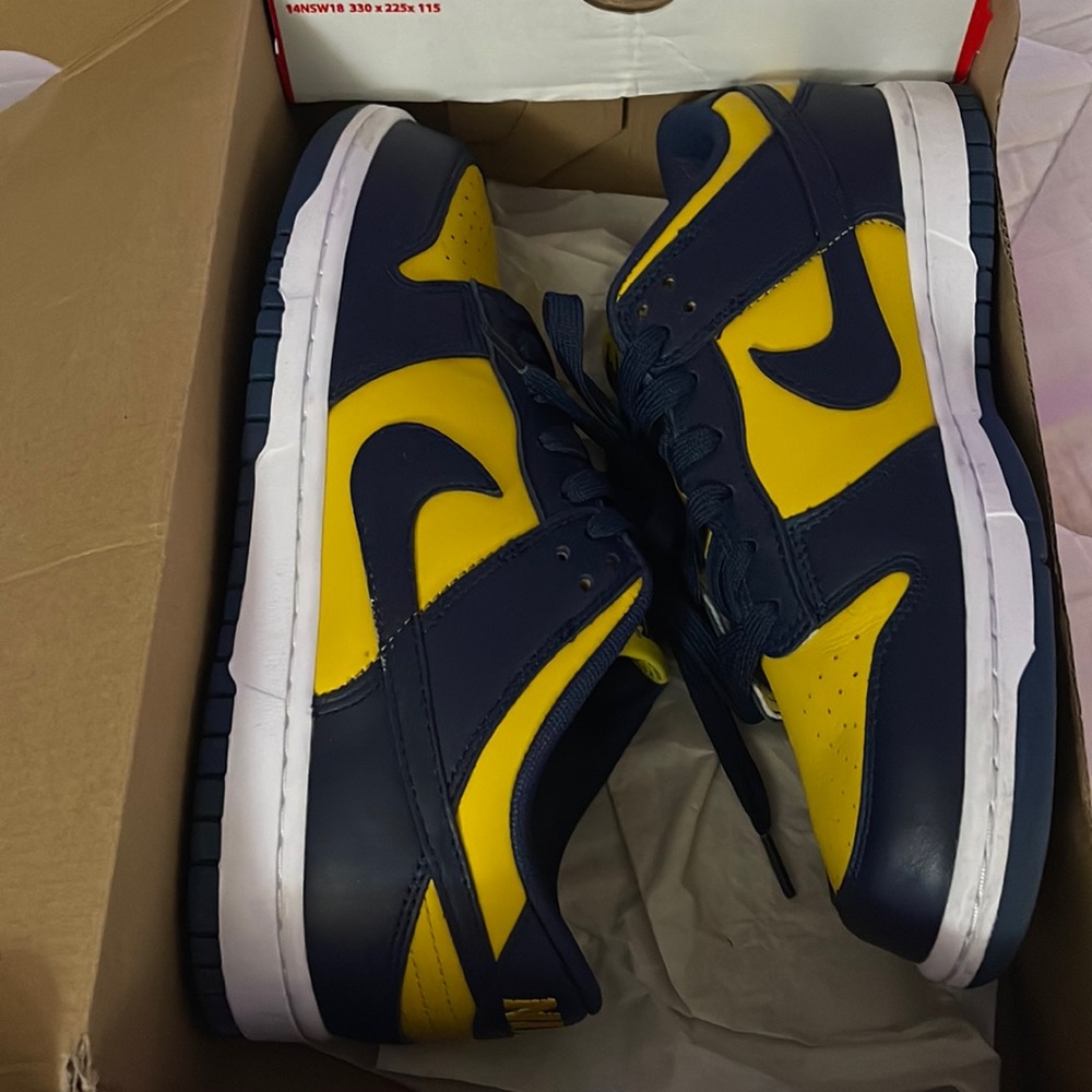 Nike Dunk Low Retro